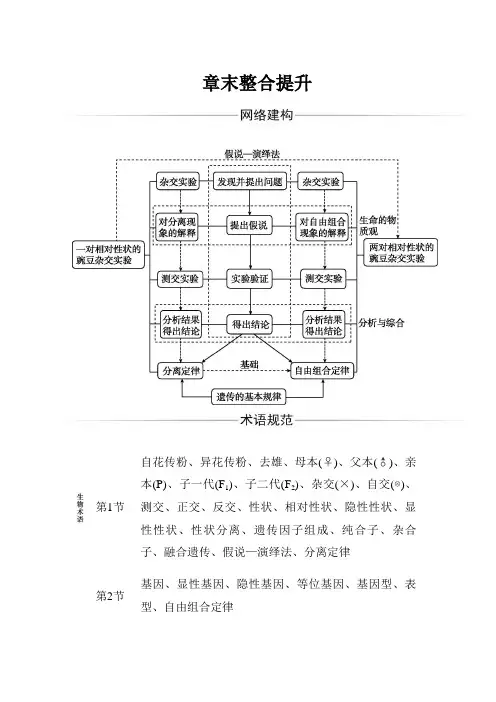 生物人教必修2第1章第1章 章末整合提升