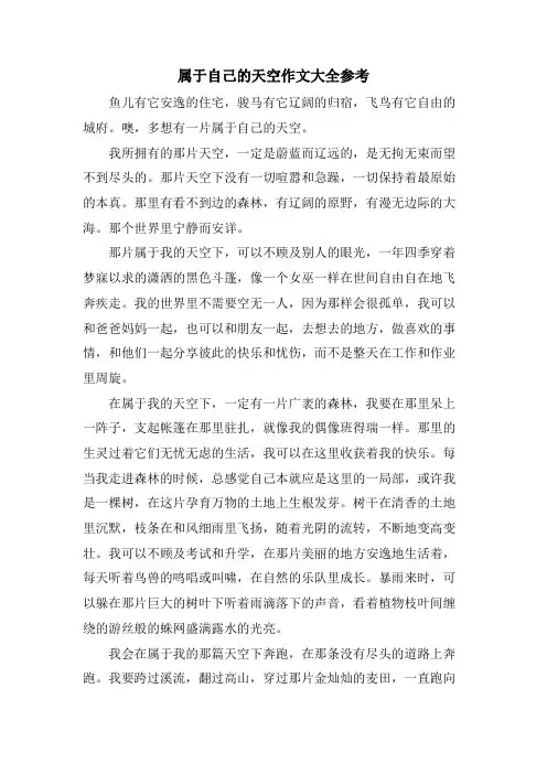 属于自己的天空作文大全参考