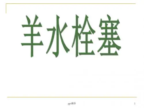 羊水栓塞  ppt课件
