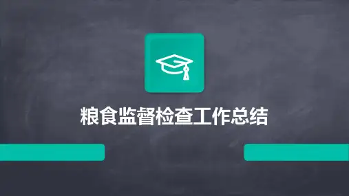 粮食监督检查工作总结PPT