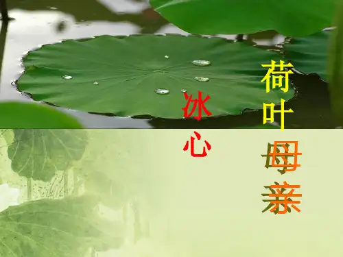 部编版七年级语文上册第7课《荷叶母亲》教学课件