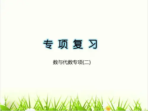 小学数学西师大版ppt《数与代数》优质ppt课件1