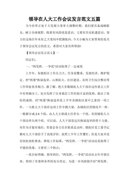 会议发言稿 领导在人大工作会议发言范文五篇
