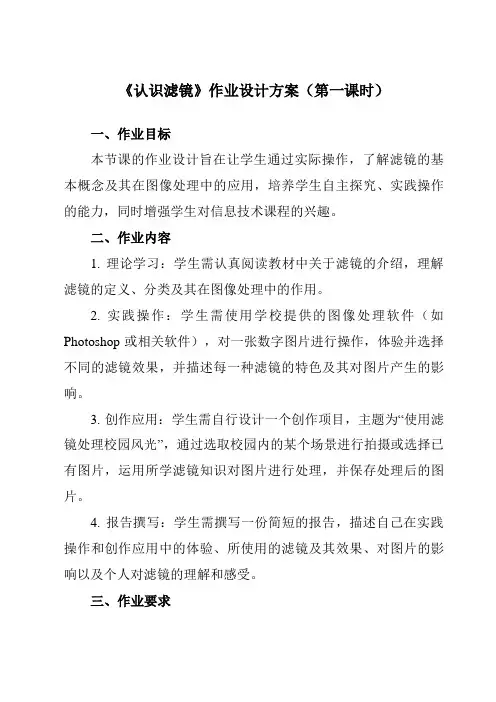《第二单元第6课滤镜的应用(一)一、认识滤镜》作业设计方案-初中信息技术人教版七年级下册自编模拟