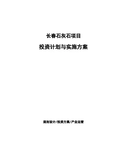 长春石灰石项目投资计划与实施方案
