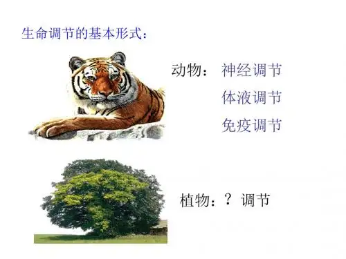 《植物生长素的发现》PPT课件