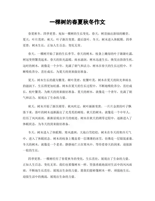 一棵树的春夏秋冬作文