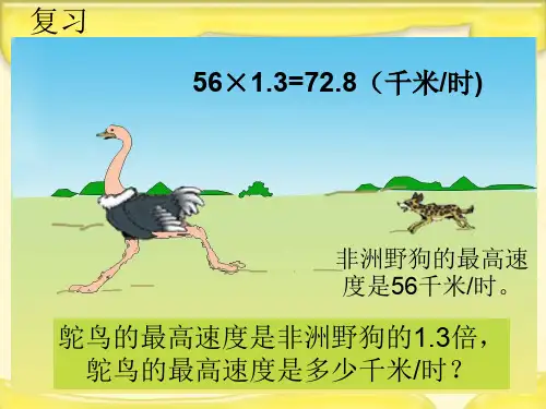 (苏教版)五年级数学上册课件_小数乘法_1