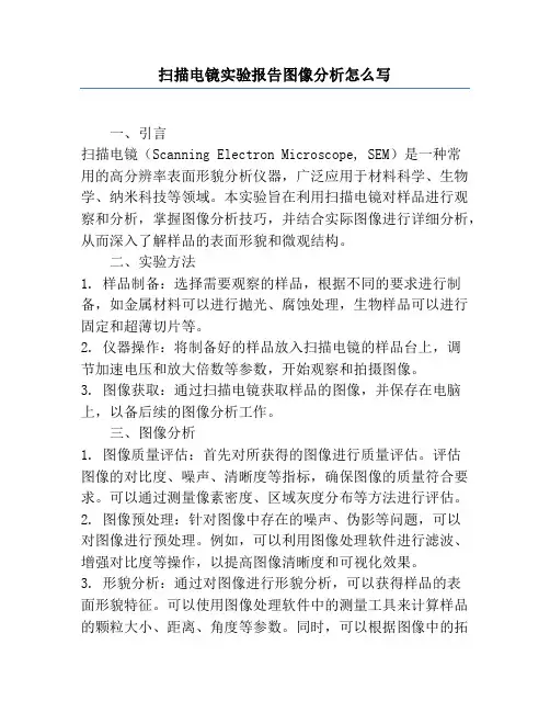 扫描电镜实验报告图像分析怎么写