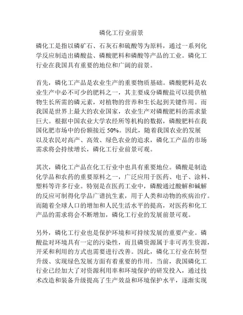 磷化工行业前景