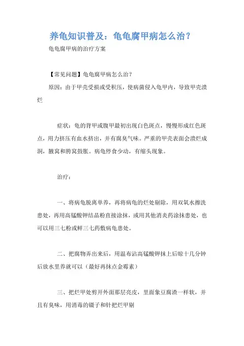 养龟知识普及：龟龟腐甲病怎么治？