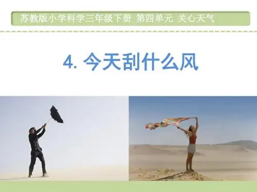 苏教版三年级科学下册第四单元4.今天刮什么风