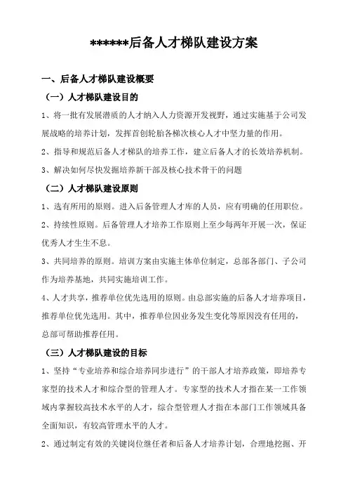 后备人才梯队建设方案