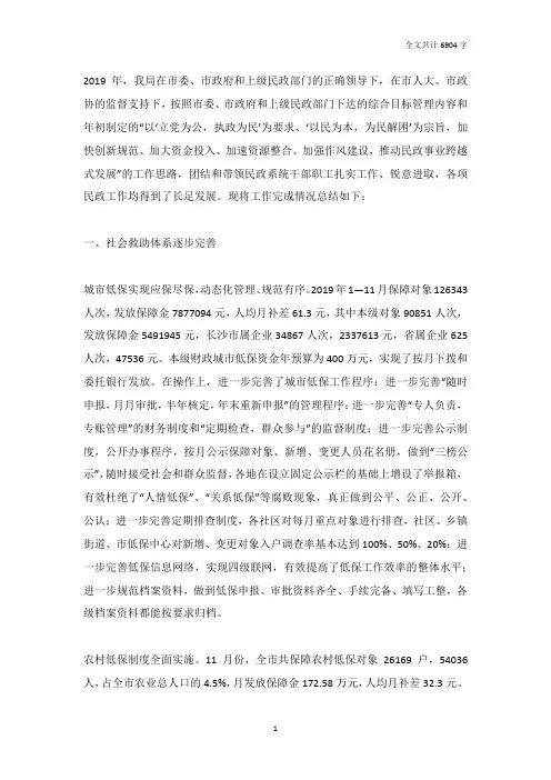 市民政局2019年工作总结