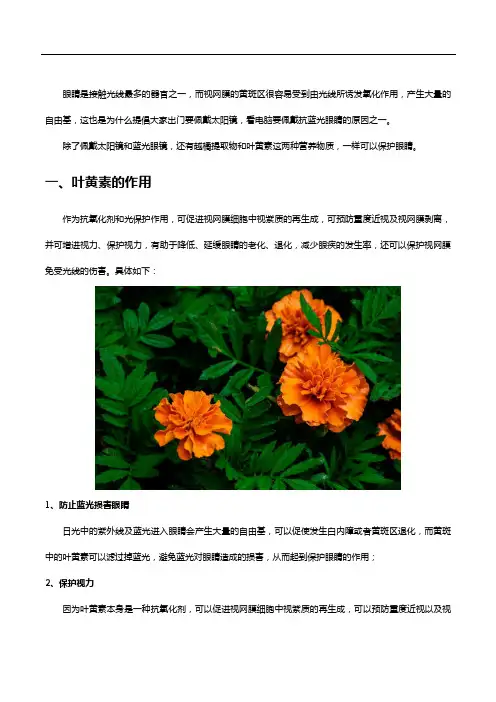 越橘叶黄素的作用以及哪个牌子好,