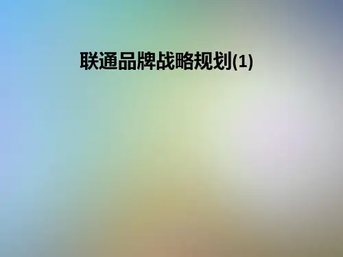 联通品牌战略规划(1)