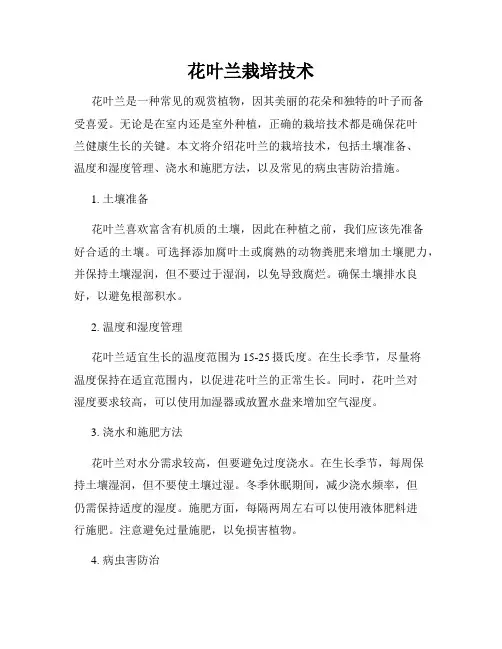 花叶兰栽培技术