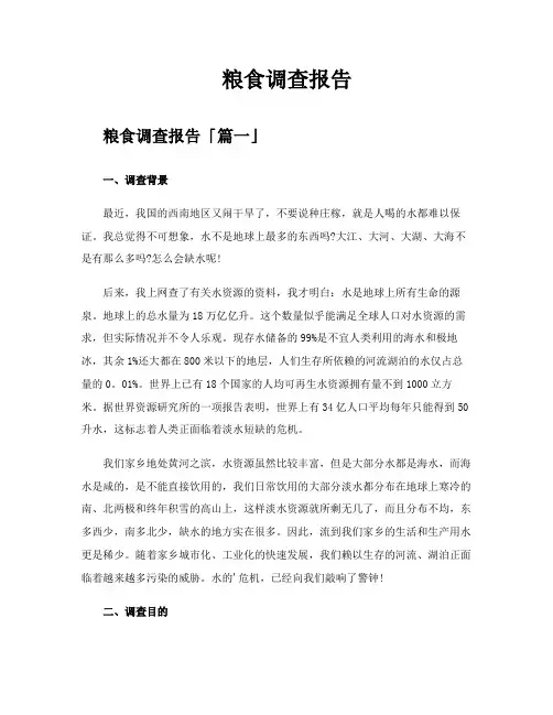 粮食调查报告