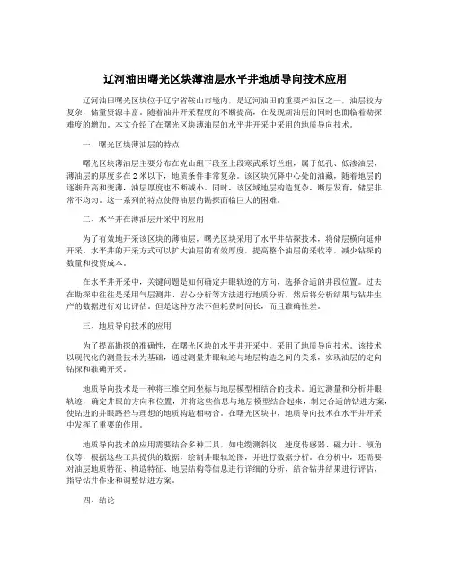 辽河油田曙光区块薄油层水平井地质导向技术应用