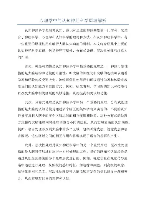 心理学中的认知神经科学原理解析