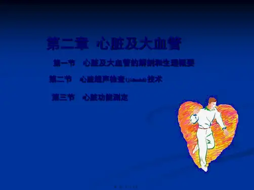 医学专题心脏彩超