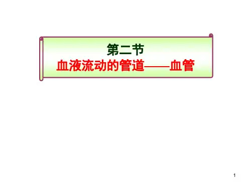 生物七年级下北师大版9.2血液循环课件(24张)