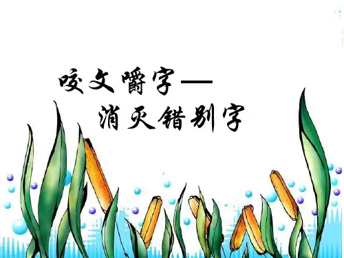 咬文嚼字-消灭错别字