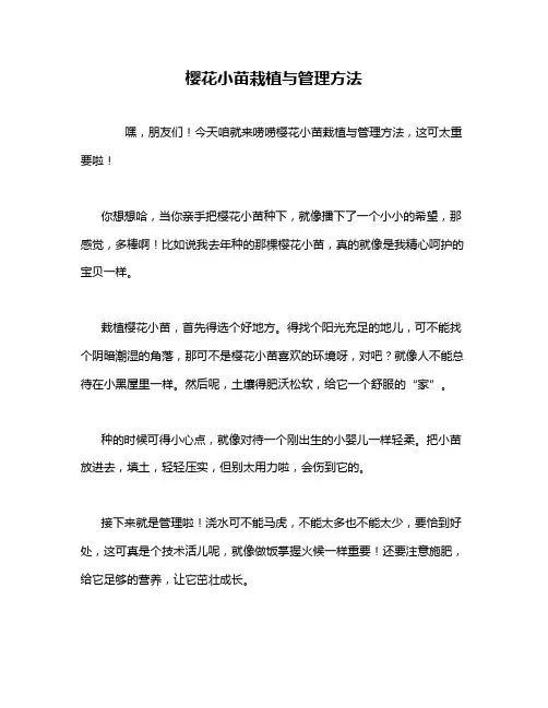 樱花小苗栽植与管理方法