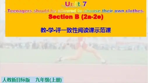 Unit7SectionB2a-2e课件人教版英语九年级全册