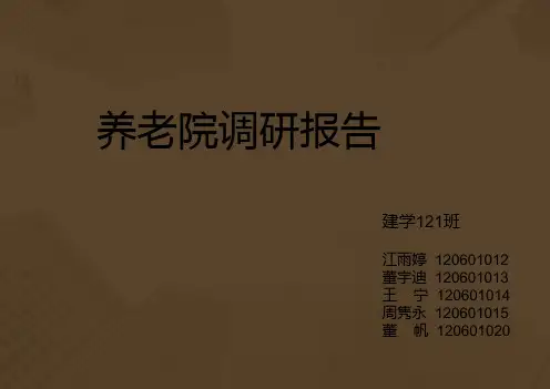 养老院调研报告PPT课件