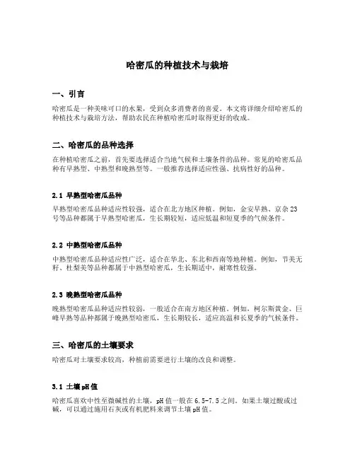哈密瓜的种植技术与栽培