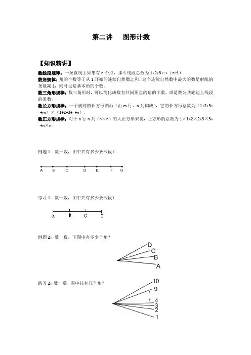 第二讲  图形计数