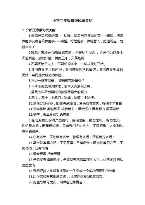 小学二年级班级风采介绍