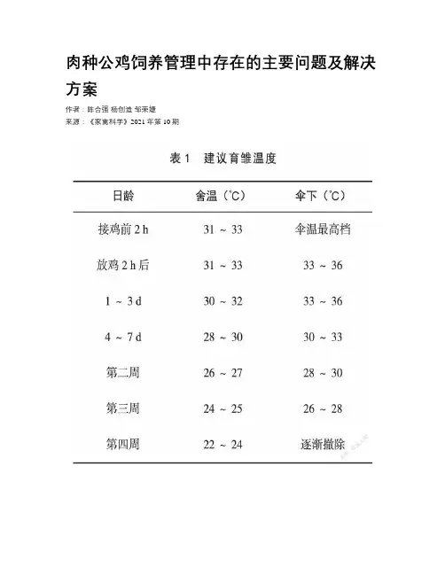 肉种公鸡饲养管理中存在的主要问题及解决方案