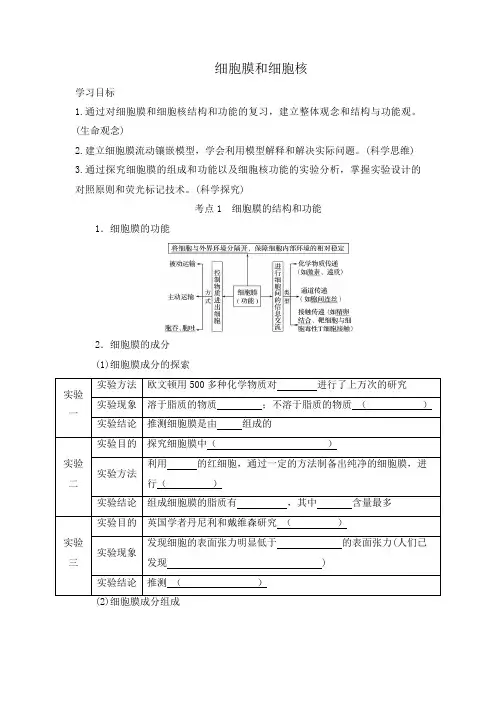 3.1 细胞膜和细胞核(导学案)——高中生物人教版(2019)必修一