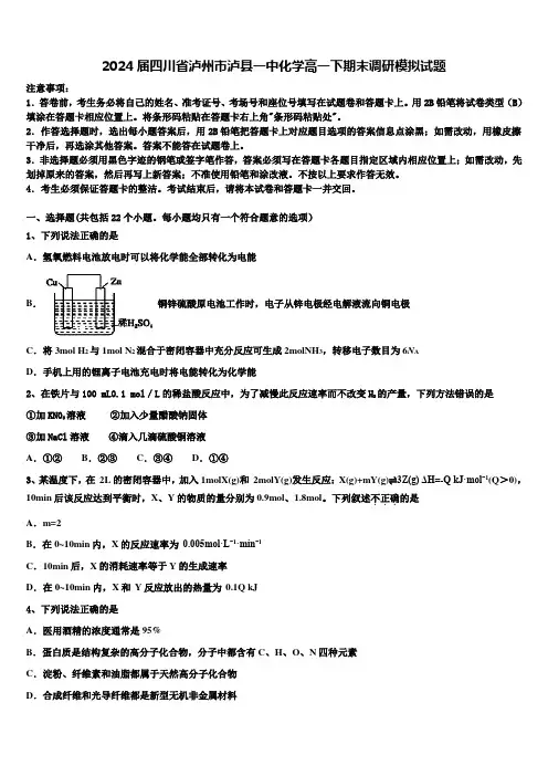 2024届四川省泸州市泸县一中化学高一下期末调研模拟试题含解析