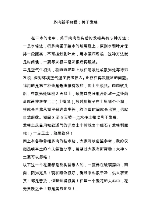 多肉新手教程：关于发根