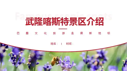 武隆喀斯特景区介绍-武隆喀斯特景点PPT(经典版)