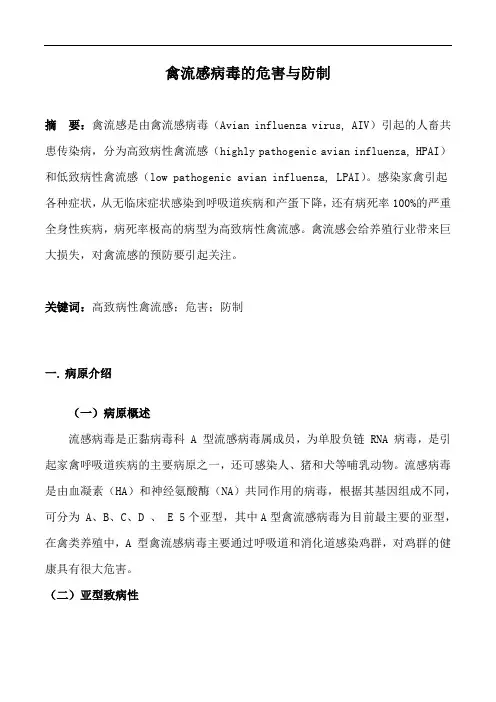 禽流感病毒的危害与防制