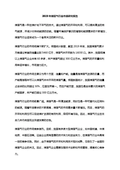 2023年煤层气行业市场研究报告