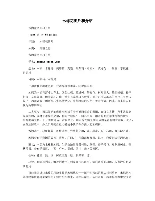 木棉花图片和介绍