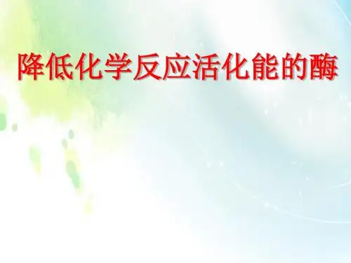 人教版高中生物必修一第5章第1节降低化学反应活化能的酶  课件(共16张PPT)