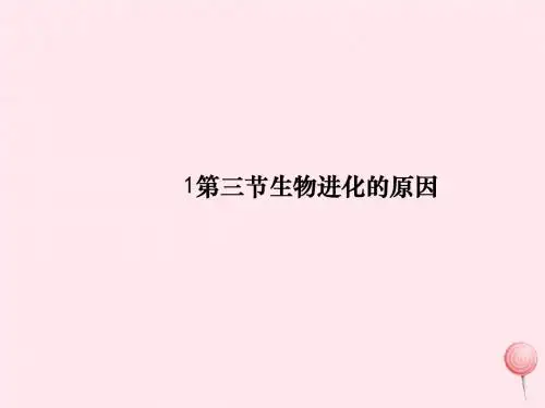 八年级生物下册第七单元第三章第三节生物进化的原因课件1新版新人教版