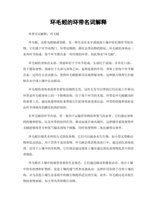 环毛蚓的环带名词解释