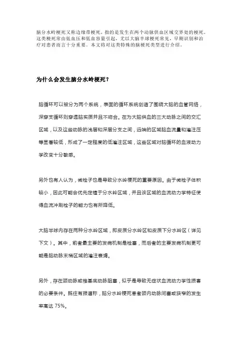 脑分水岭梗死：从分型到临床诊治,都在这里了丨温故知新