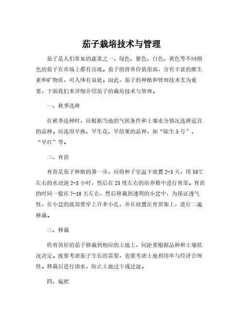 茄子栽培技术与管理