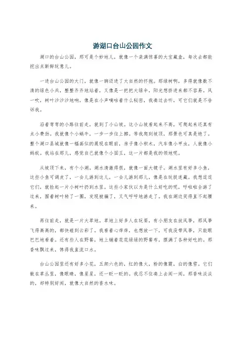 游湖口台山公园作文