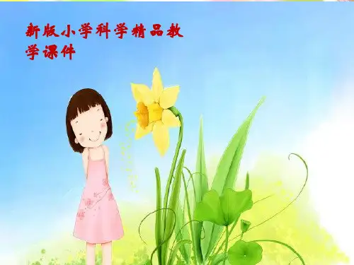 新版苏教版五年级小学科学上册第四单元 测量呼吸和心跳课件(共14张PPT)课件