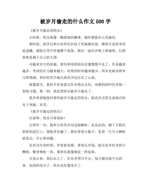 被岁月偷走的什么作文500字