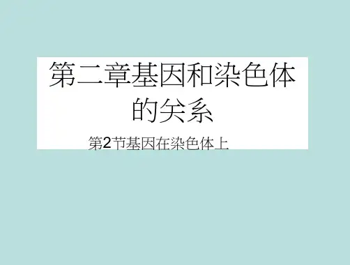 基因在染色体上(优质教学课件)
